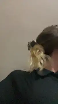 blond-96 online show from April 3, 2026, 4:32 am