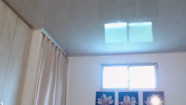 pinky f00x online show from December 2, 2025, 7:31 pm