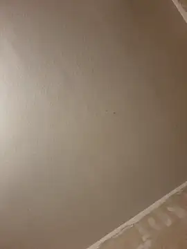 gazb90 online show from January 14, 2026, 8:03 pm