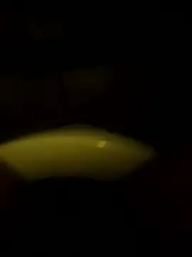 Cock4LadiesONLY online show from October 11, 2025, 2:48 pm