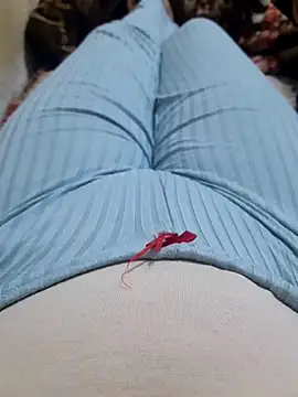 Wiam-arab online show from October 14, 2025, 10:05 am