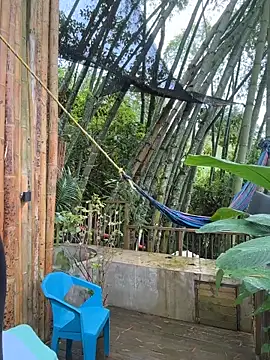 Rose-andres online show from February 1, 2026, 7:34 pm