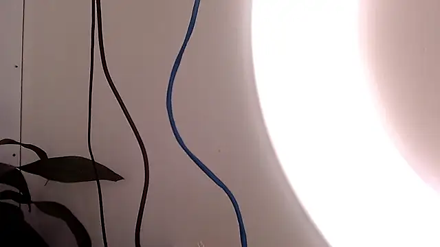 saara johnson496 online show from September 24, 2025, 3:15 pm