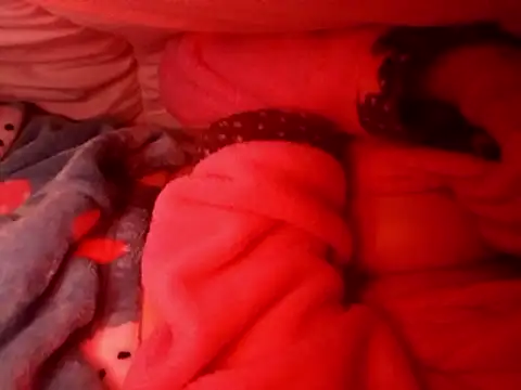 Hottiesophie online show from January 12, 2026, 3:23 am