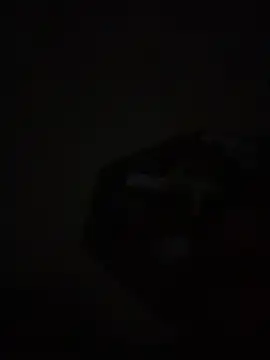 Snapshot of mario231197 chatting on February 9, 2026, 1:31 am mario231197 online show from February 9, 2026, 1:31 am