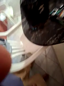 bimbadoce online show from November 2, 2025, 10:06 am