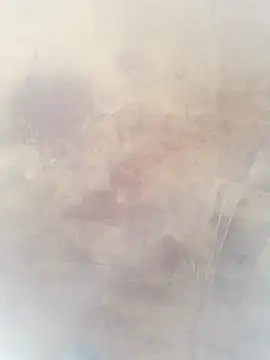 0023doja online show from October 10, 2025, 11:26 pm