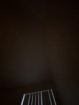 julio p online show from February 14, 2026, 11:23 pm