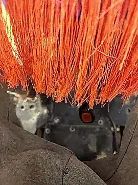 Telugu person12 online show from January 12, 2026, 7:57 am