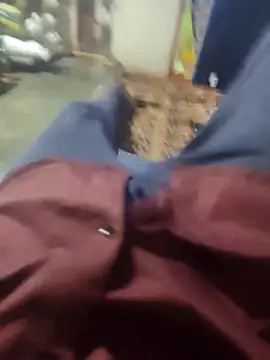 Telugu person12 online show from March 16, 2026, 3:38 pm