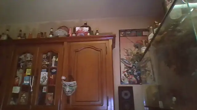 zipman92 online show from January 15, 2026, 5:45 am