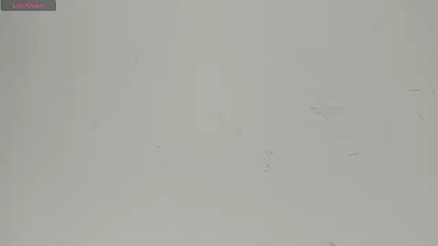 Snapshot of Sophia_Ebony chatting on June 22, 2026, 12:24 pm Sophia Ebony online show from June 22, 2026, 12:24 pm
