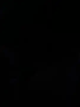 Maine8in online show from April 20, 2026, 9:45 am