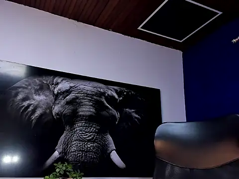 king falconer online show from January 15, 2026, 2:16 am