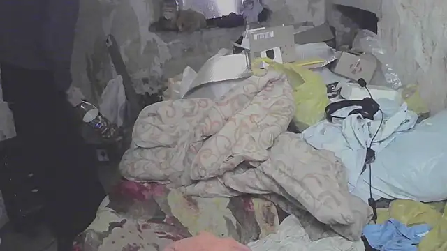 makarov1993 online show from April 16, 2026, 11:11 am