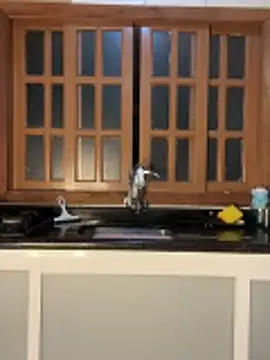 Casalmasc online show from April 15, 2026, 1:23 am