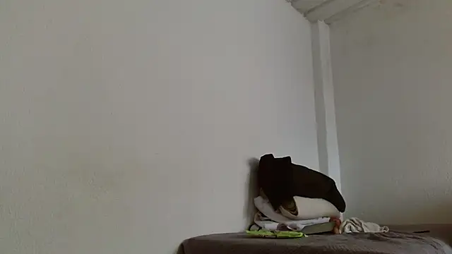 isabel 24 gil online show from November 13, 2025, 4:50 pm