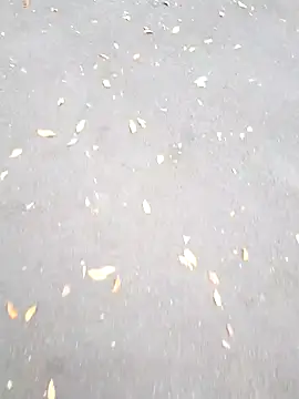 Arya Lexy online show from October 26, 2025, 2:45 pm