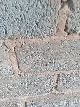 KingBonga online show from October 17, 2025, 4:37 am