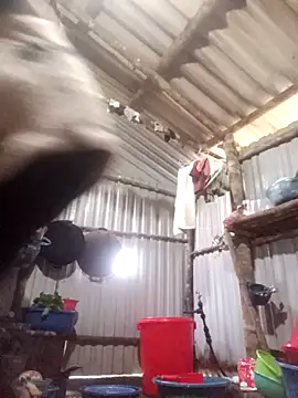 jienrrr online show from December 17, 2025, 12:16 am