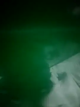 daisylouis online show from April 3, 2026, 12:14 pm