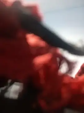 b ele online show from September 30, 2025, 10:20 am