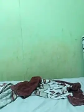 Snapshot of 3-11A chatting on November 14, 2025, 6:12 am 3-11A online show from November 14, 2025, 6:12 am