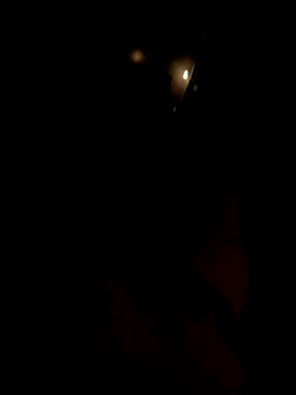 dutch girl lover online show from October 5, 2025, 9:07 am