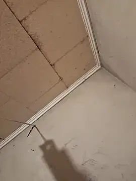 Tudiablita21 online show from April 6, 2026, 7:53 am