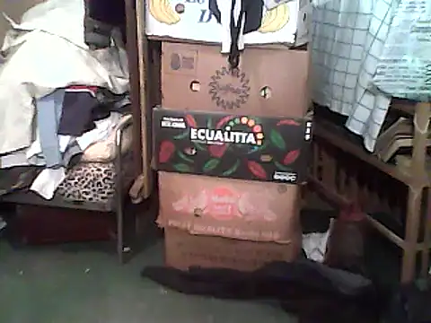 A1B3- online show from December 14, 2025, 2:44 pm