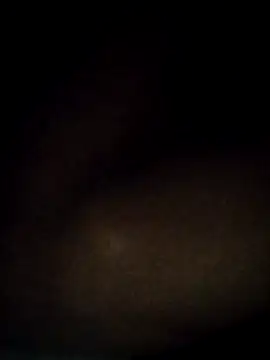 t2pnb online show from December 3, 2025, 12:18 am