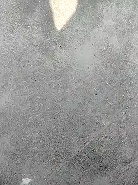 t2pnb online show from December 4, 2025, 6:23 am