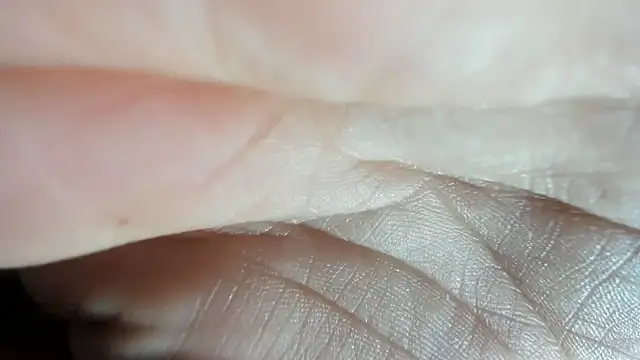 Daphne girlsex online show from March 25, 2026, 3:56 am