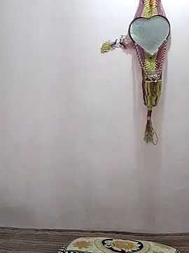 sneha bebo online show from June 1, 2026, 4:09 pm