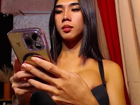 TRANSPORNIDOL online show from November 25, 2025, 4:56 am