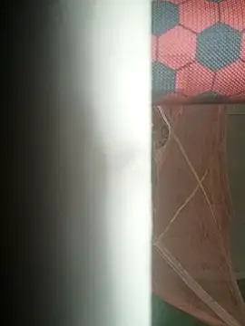 sobit1234 online show from December 17, 2025, 10:49 pm