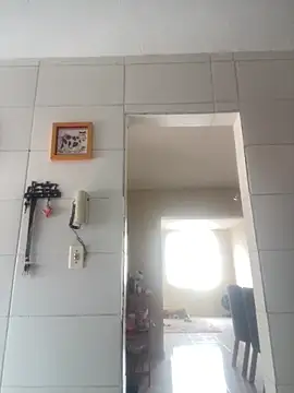 Junior17cm 1993 online show from February 28, 2026, 1:45 pm