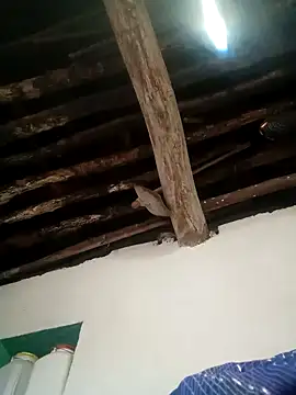 Hot siiii online show from November 1, 2025, 1:18 am