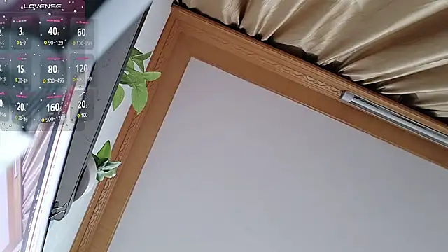 Haili-1 online show from October 5, 2025, 1:53 pm