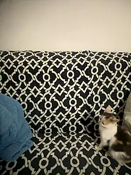 Sweet lollipop25 online show from January 11, 2026, 9:20 pm