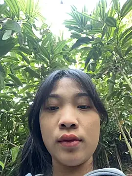 Phayphay77 online show from November 25, 2025, 1:05 am