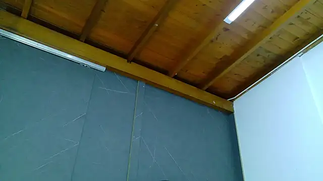 ALANNFERRER online show from January 13, 2026, 10:09 am