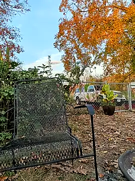 sizableunicorn7 online show from November 6, 2025, 10:32 pm