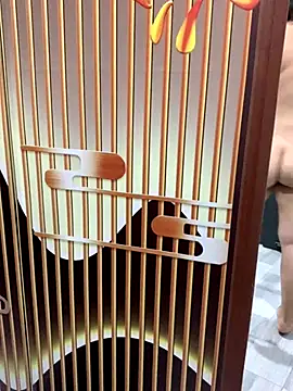 Snapshot of yang-2269 chatting on November 21, 2025, 8:51 pm yang-2269 online show from November 21, 2025, 8:51 pm