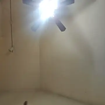 Tclarke93 online show from November 12, 2025, 5:52 am