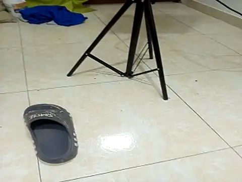 fromero27 online show from December 22, 2025, 4:20 am