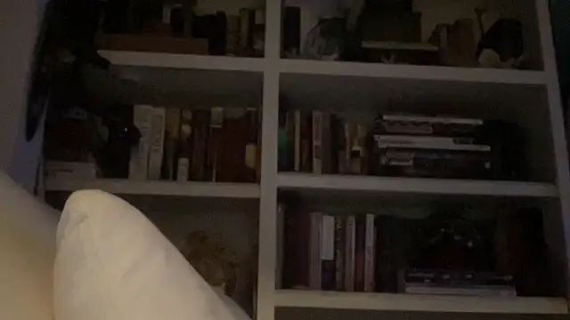 dddasani online show from January 19, 2026, 2:37 am