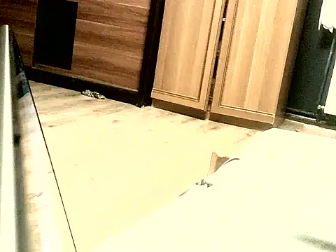 Snapshot of KissMeAss9387 chatting on September 28, 2025, 7:08 pm KissMeAss9387 online show from September 28, 2025, 7:08 pm