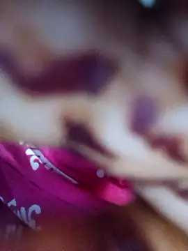 Exotic-bhabhi online show from April 19, 2026, 11:31 am