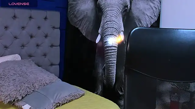 rocoo santos online show from October 10, 2025, 12:09 am